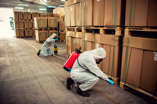 Best Pest Control Near Me  in Minneola, FL