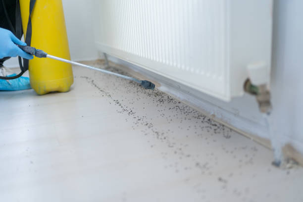 Reliable Minneola, FL Pest Control Solutions